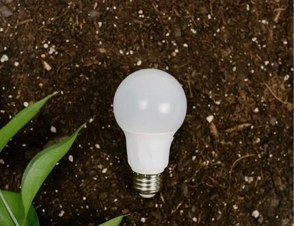 Foco color blanco tirado en la tierra, con una plantita en la izquierda